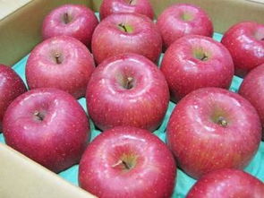 日本水果蔬菜市場解析 從代購、價格到二手商品的購買指南